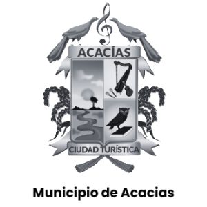 Inicio imagen pagina 12