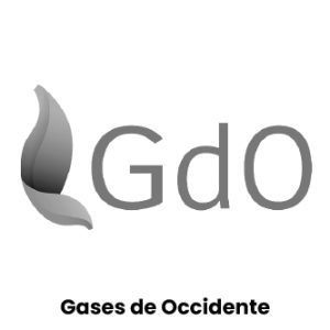 Inicio imagen pagina 13