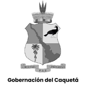 Inicio imagen pagina 15