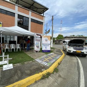 Galeria img 1482