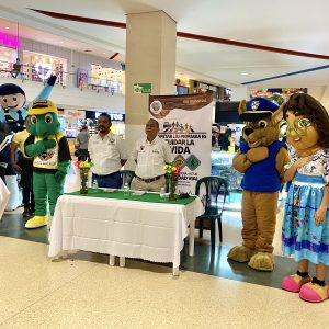 Galeria img 3438