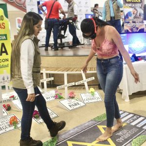 Galeria img 3439