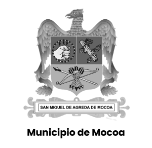 Inicio iconos alcaldias 03