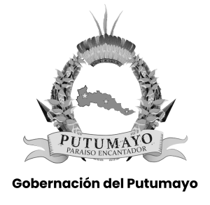 Inicio iconos alcaldias mesa de trabajo 5