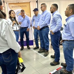 Galeria fd2e99b7 194c 45bf bfc4 1175049f6f90